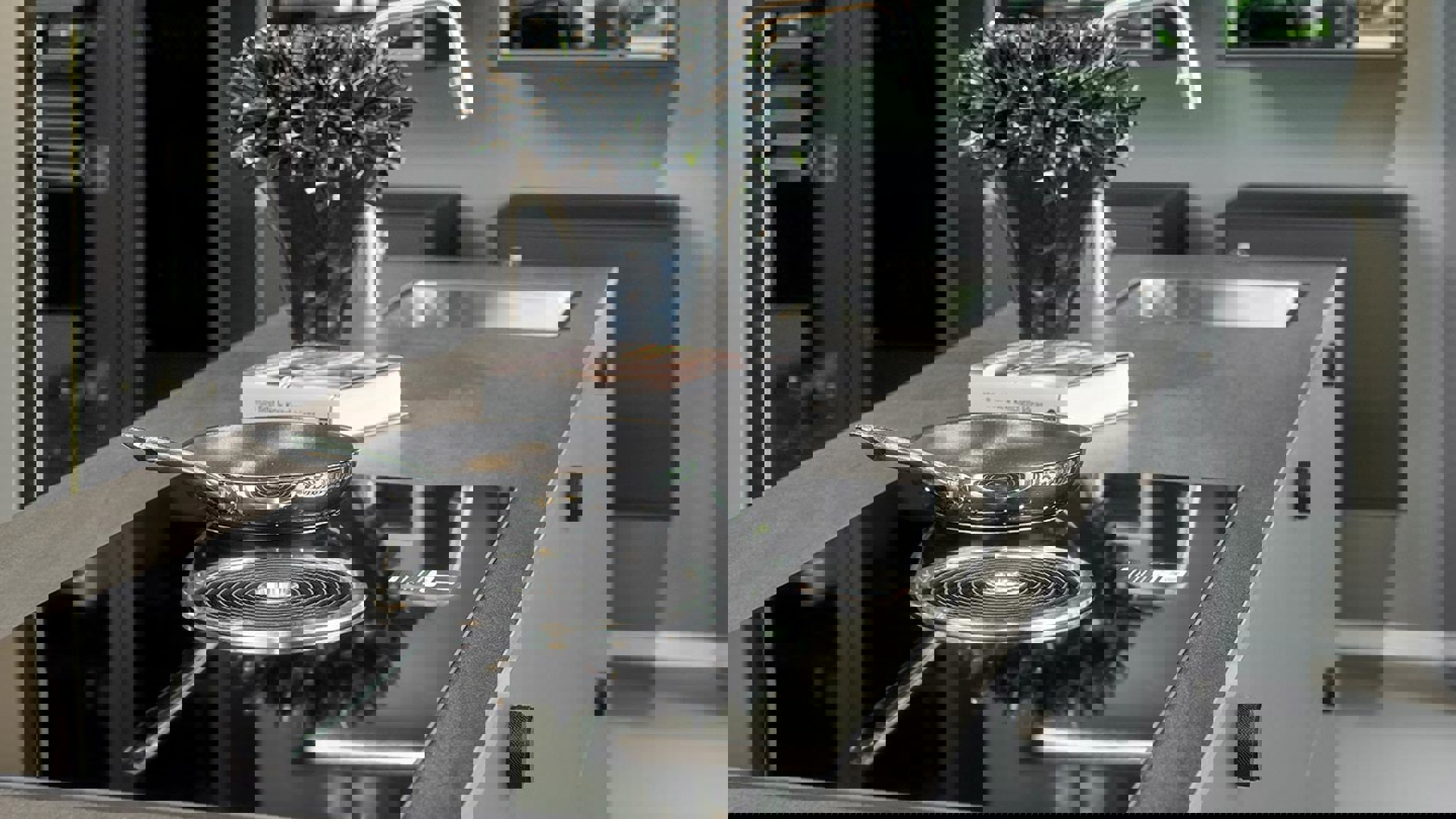 Inductiekookplaat met afzuiging Bora