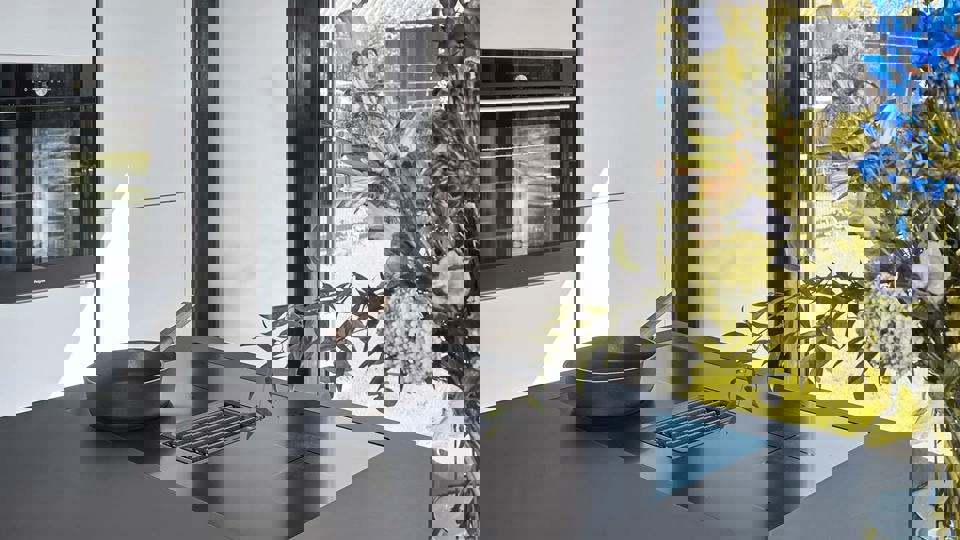 ATAG matte inductiekookplaat met afzuiging